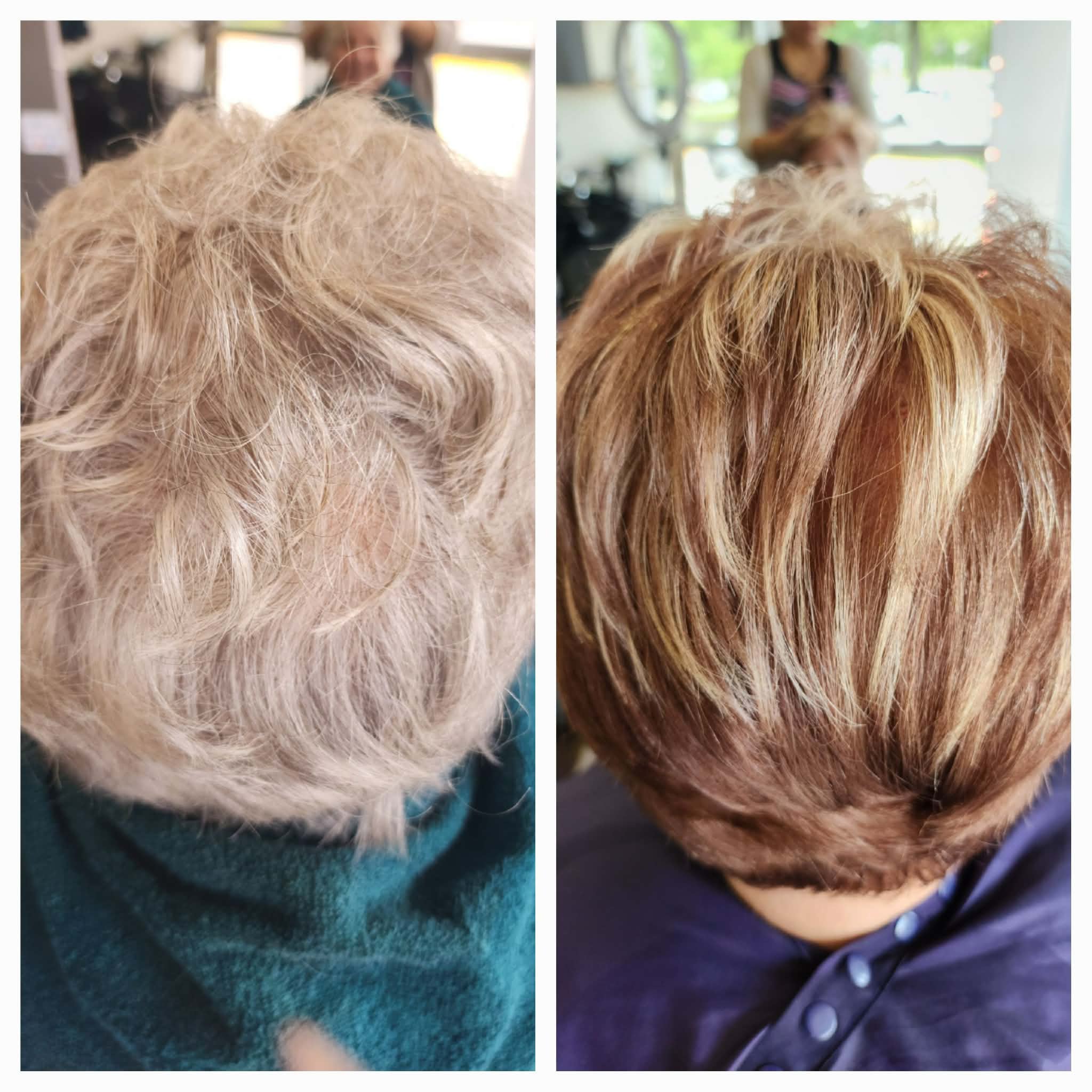Highlights by Lisa Love